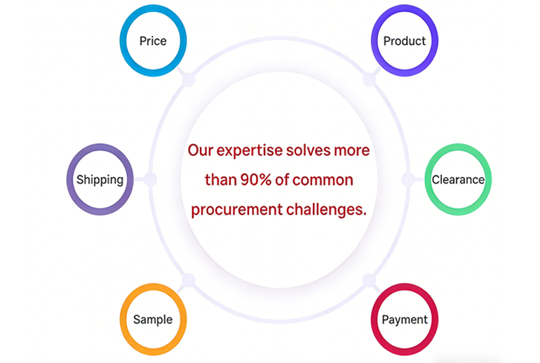 Company Advantages Introduction